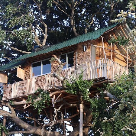 Hotel Yala Dream Park Exteriér fotografie