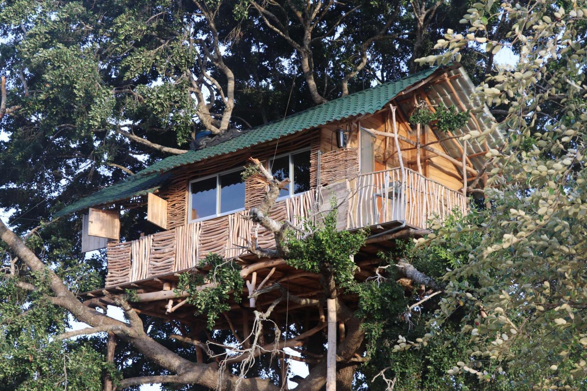 Hotel Yala Dream Park Exteriér fotografie