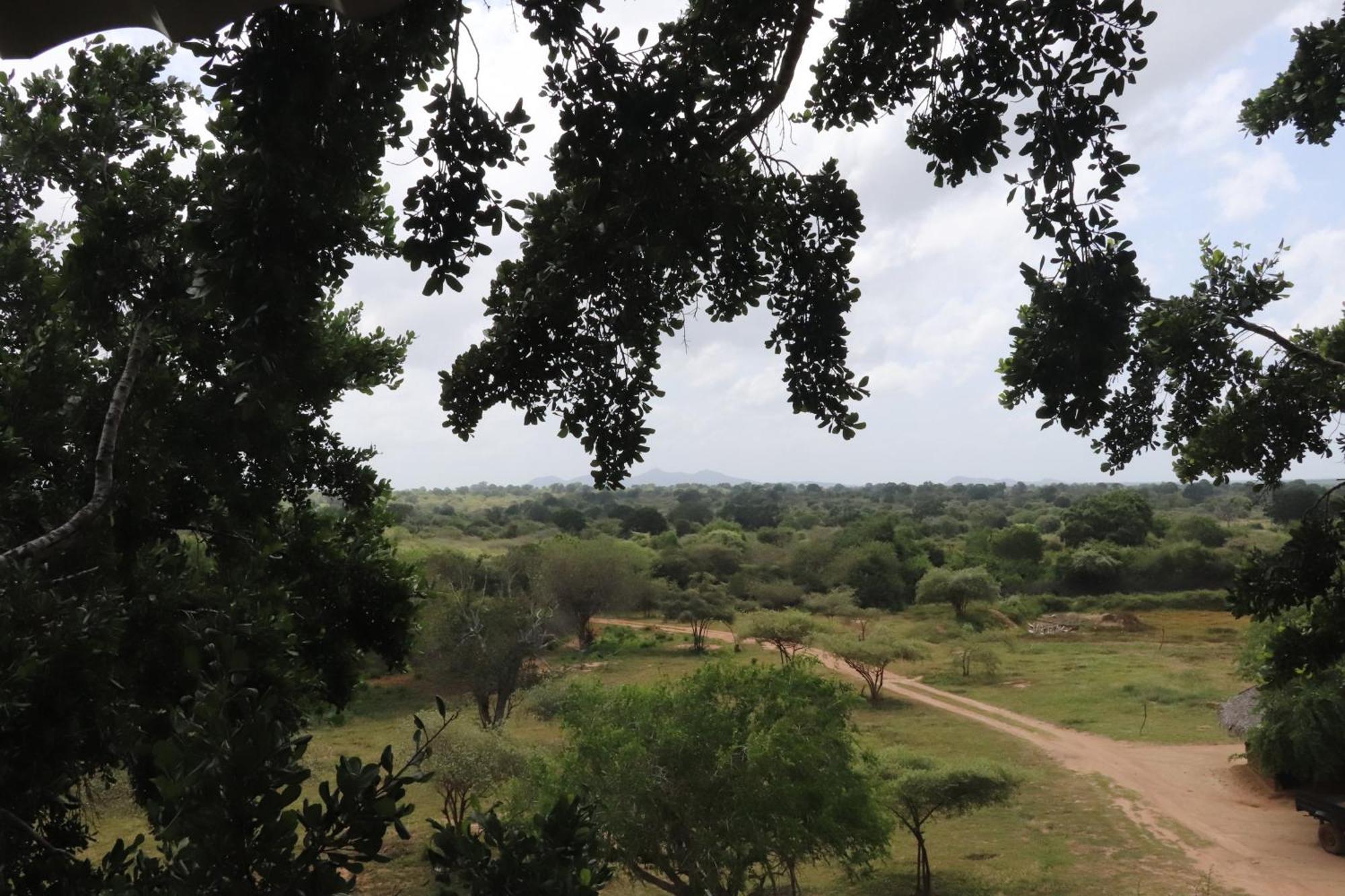 Hotel Yala Dream Park Exteriér fotografie