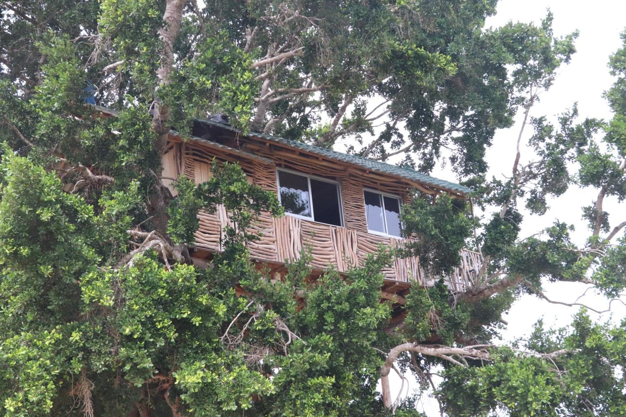 Hotel Yala Dream Park Exteriér fotografie