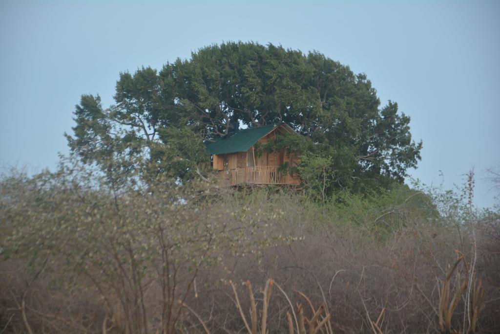 Hotel Yala Dream Park Exteriér fotografie