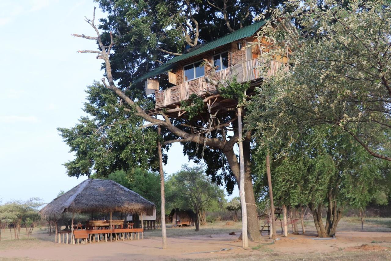 Hotel Yala Dream Park Exteriér fotografie